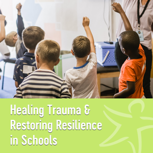 healing trauma restoring resilience in schools
